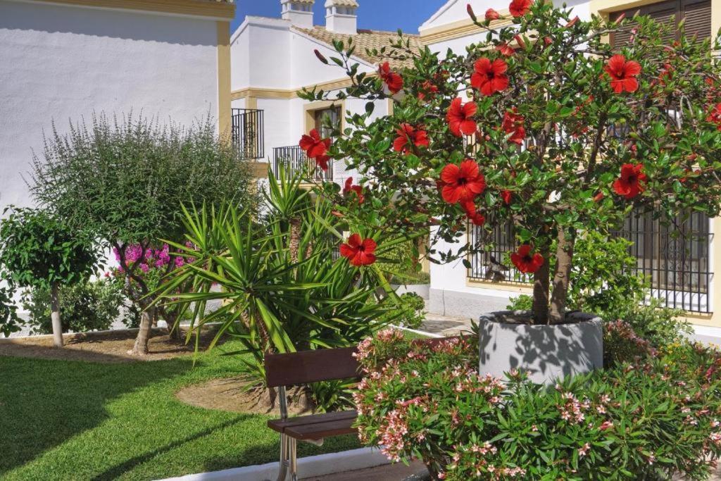 Verano Azul Εξωτερικό φωτογραφία